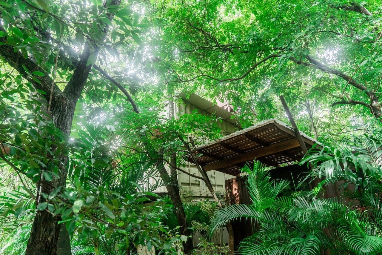 Green Sanctuary Hotel Носара Екстер'єр фото